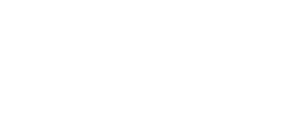 oiseau_02