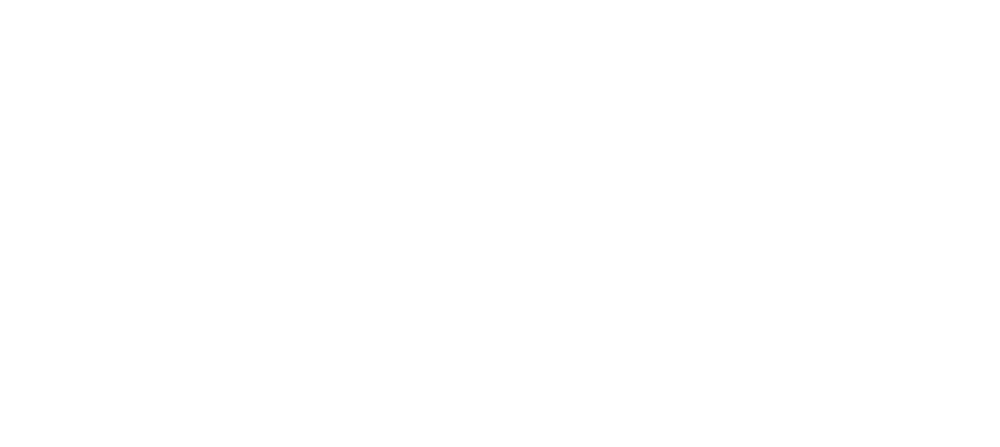 oiseau_08